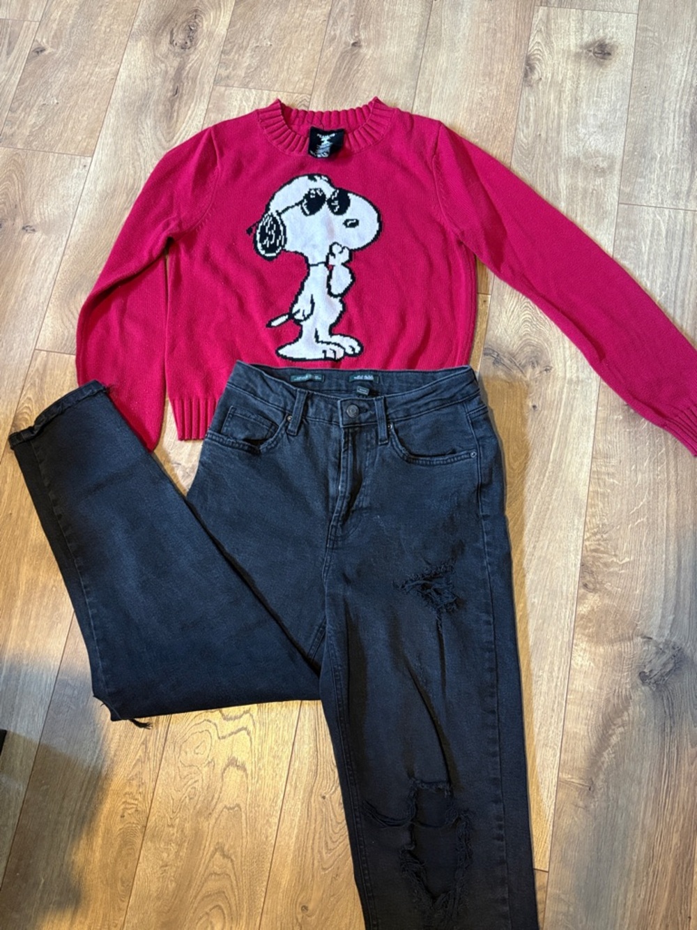 Peanuts Red Snoopy Knit Pullover